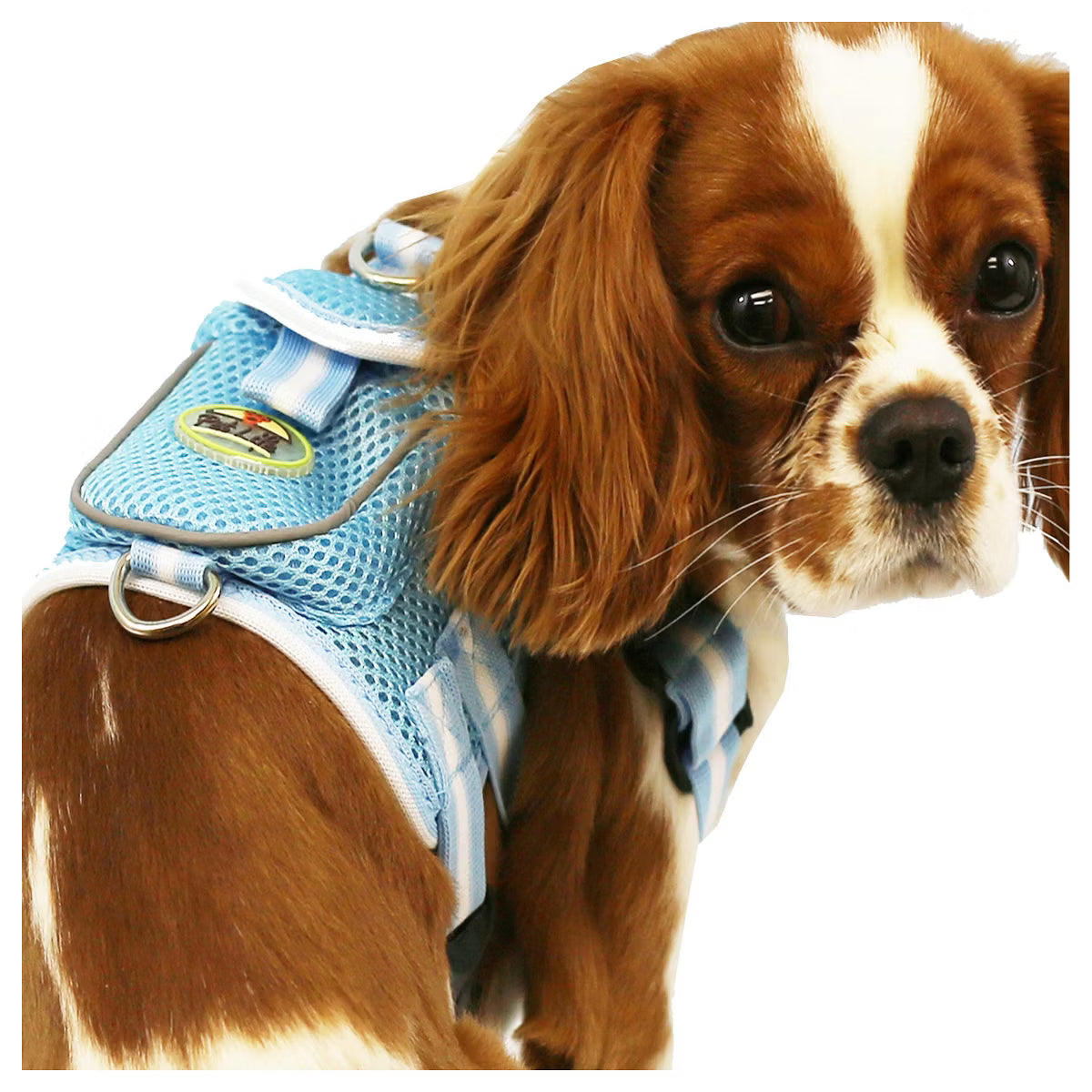 Pocket Bark Reflective Adjustable Fashion Pet Dog Harness with Velcro Pouch and Dual Harness Rings