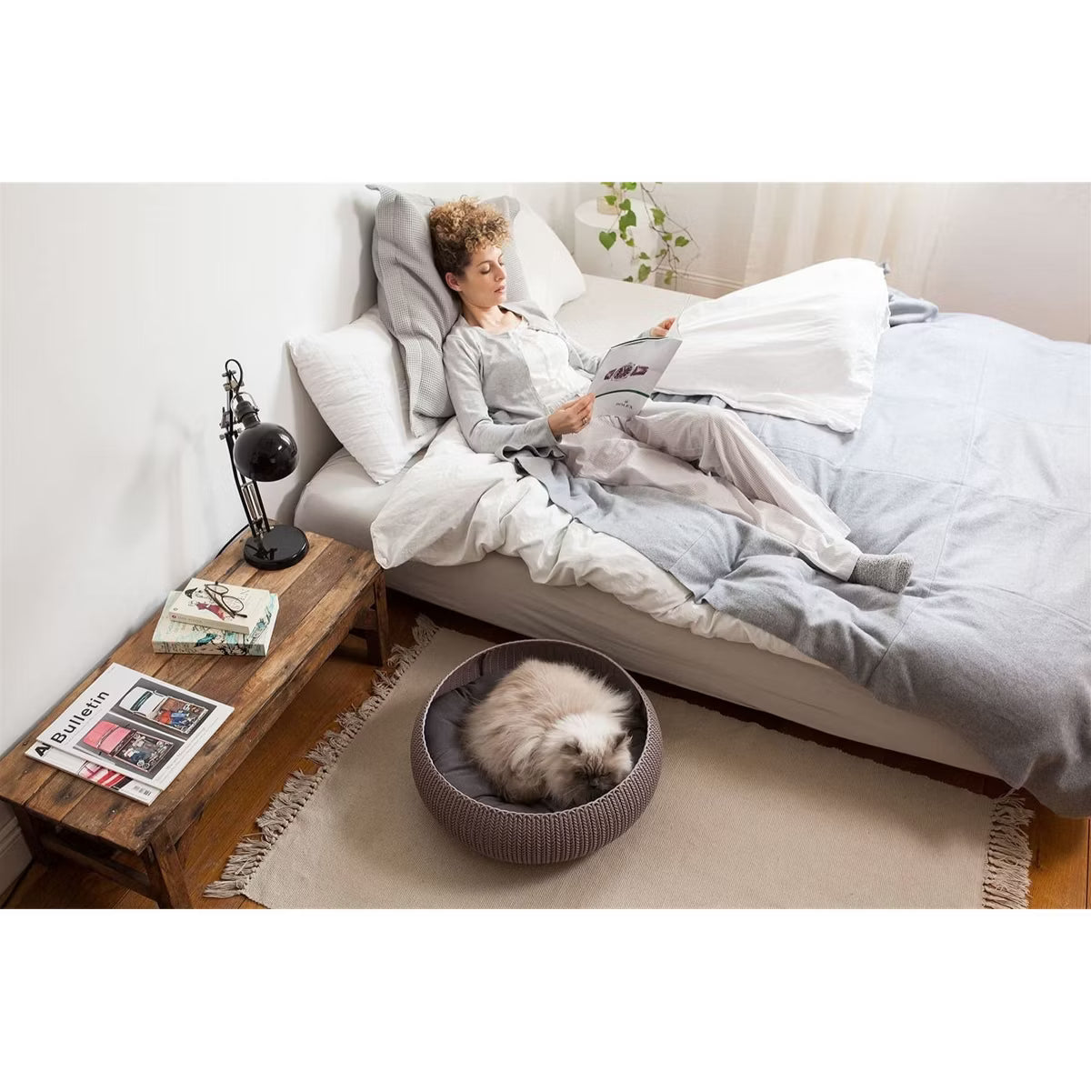 Cozy Resin Plastic Pet Bed with Cushion, Small Dogs to Medium Cats