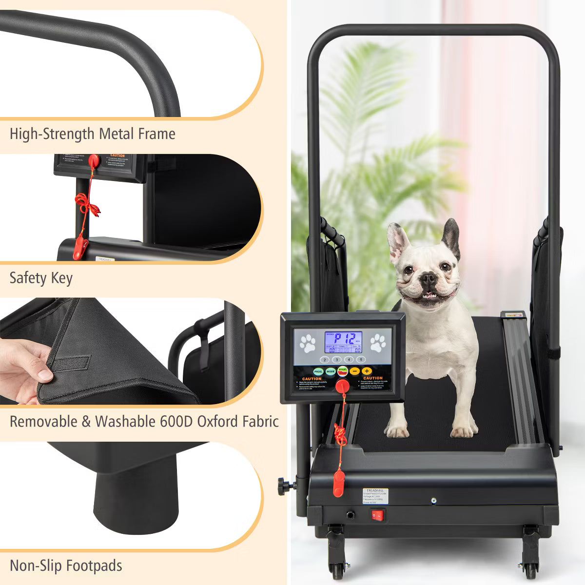 Dog Treadmill for Small/Medium Dogs Indoors Pet Running Training