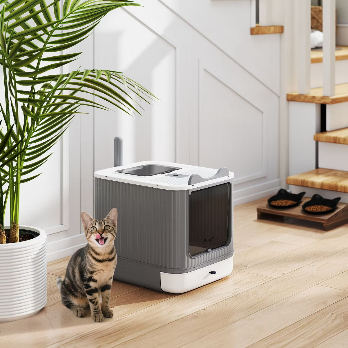 Cat Litter Box with Lid, Enclosed Litter Box for Medium Cats