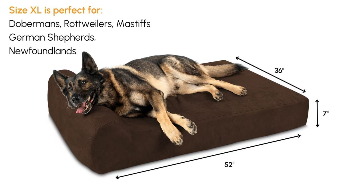 A German Shepherd dog lying on a thick, dark brown rectangular pet bed against a plain white background.