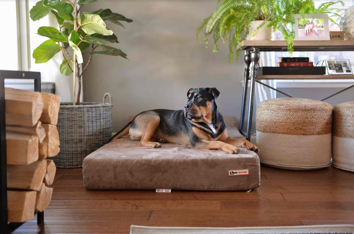 A German Shepherd dog lies stretched out on a large, rectangular, low-profile pet bed with a brown microfiber fabric, set against a plain white background.