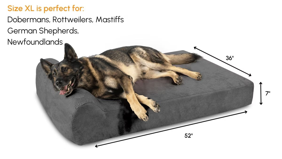 A German Shepherd dog lies stretched out on a dark gray rectangular pet bed against a plain white background.
