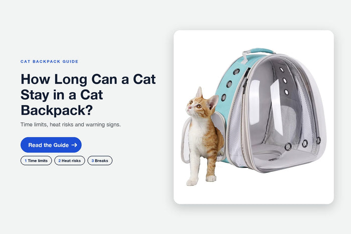 How Long Can a Cat Stay in a Cat Backpack? Heat, Breaks and a First-Walk Plan