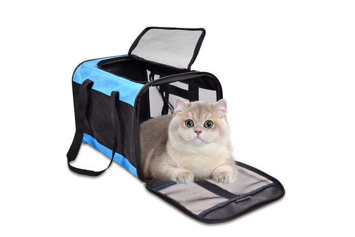 Flying With a Cat for the Holidays: Airline Carrier Sizes, TSA Rules and the Best Carriers