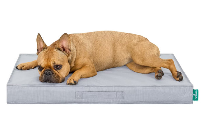 How to Measure Your Dog for the Right Dog Bed Size