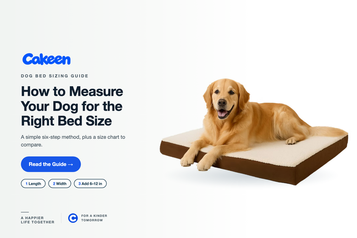 How to Measure Your Dog for the Right Dog Bed Size