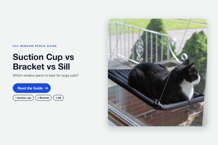 Suction Cup vs Bracket vs Sill: Which Window Perch Is Best for Large Cats?