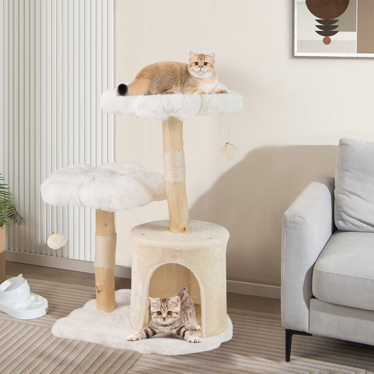 Cat Trees & Furniture