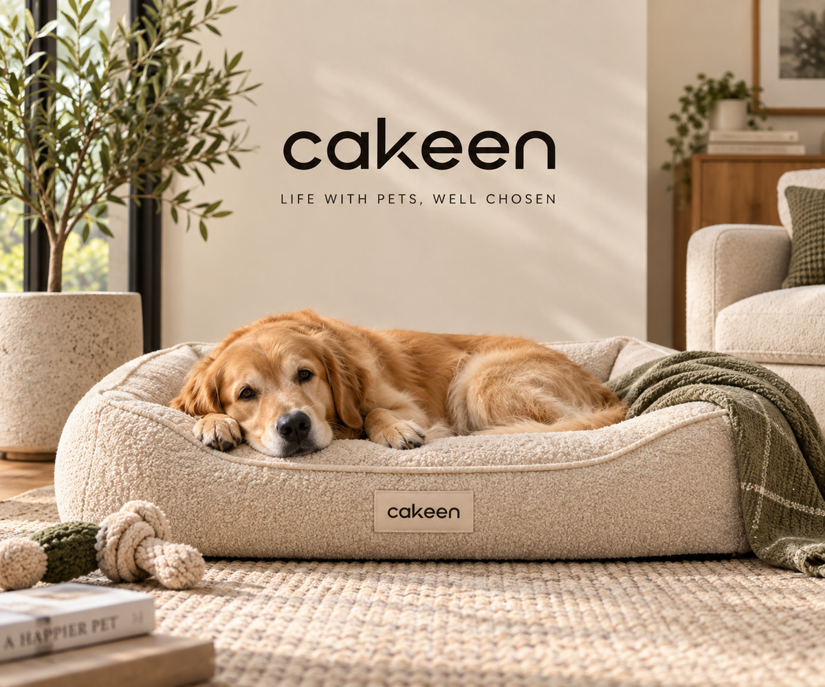 Comfort made for better rest.