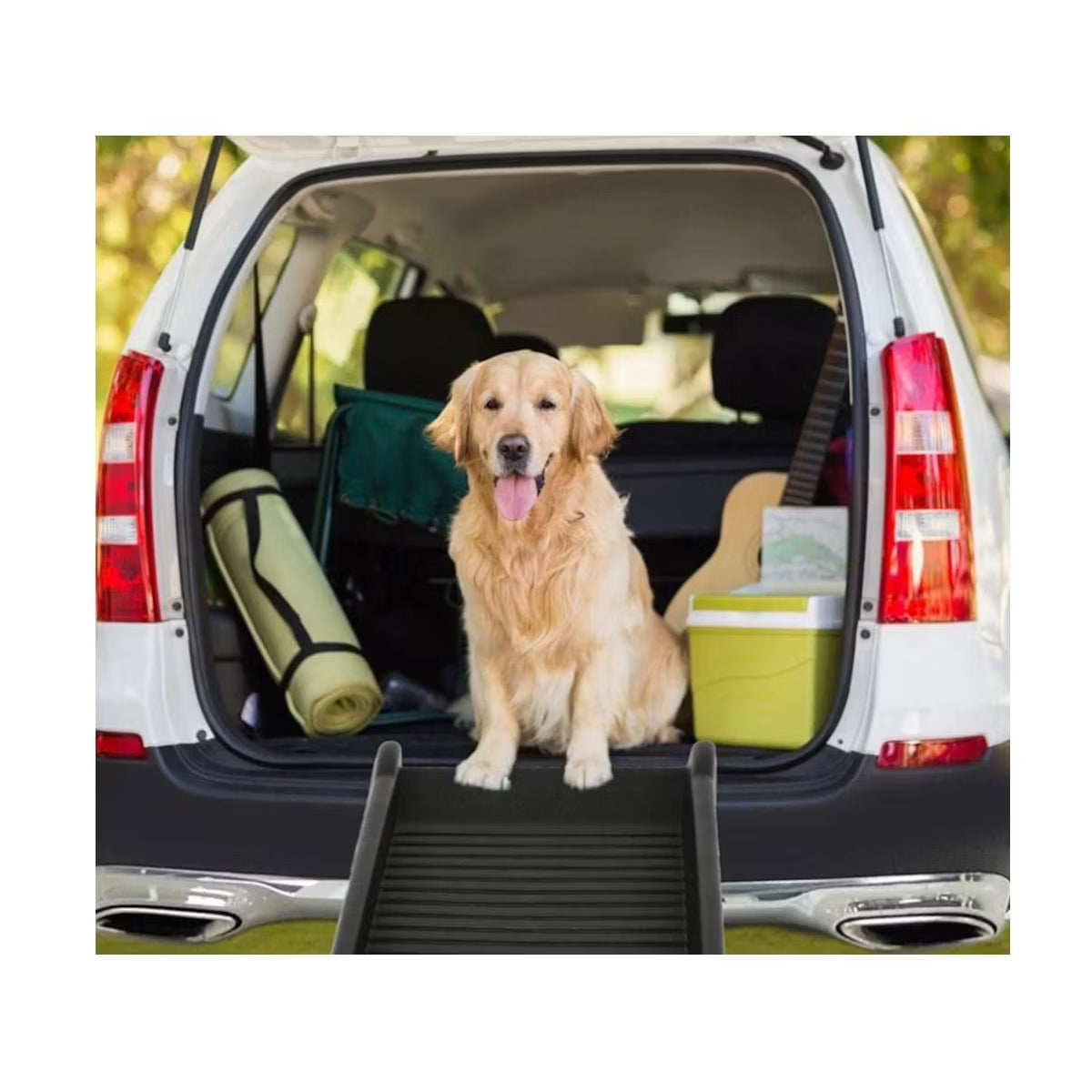 Portable Folding Dog Car Ramp, Pet Ramp Stairs Step Ladder for Large Dogs with Siderails