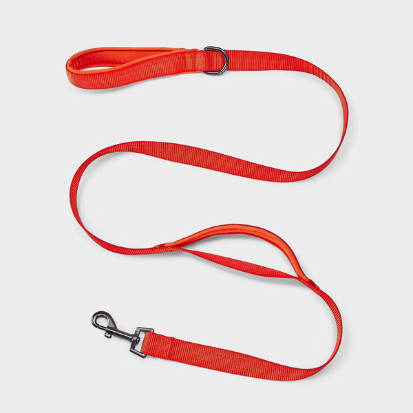 Reflective Comfort Dog Leash - 60" - Bright Orange