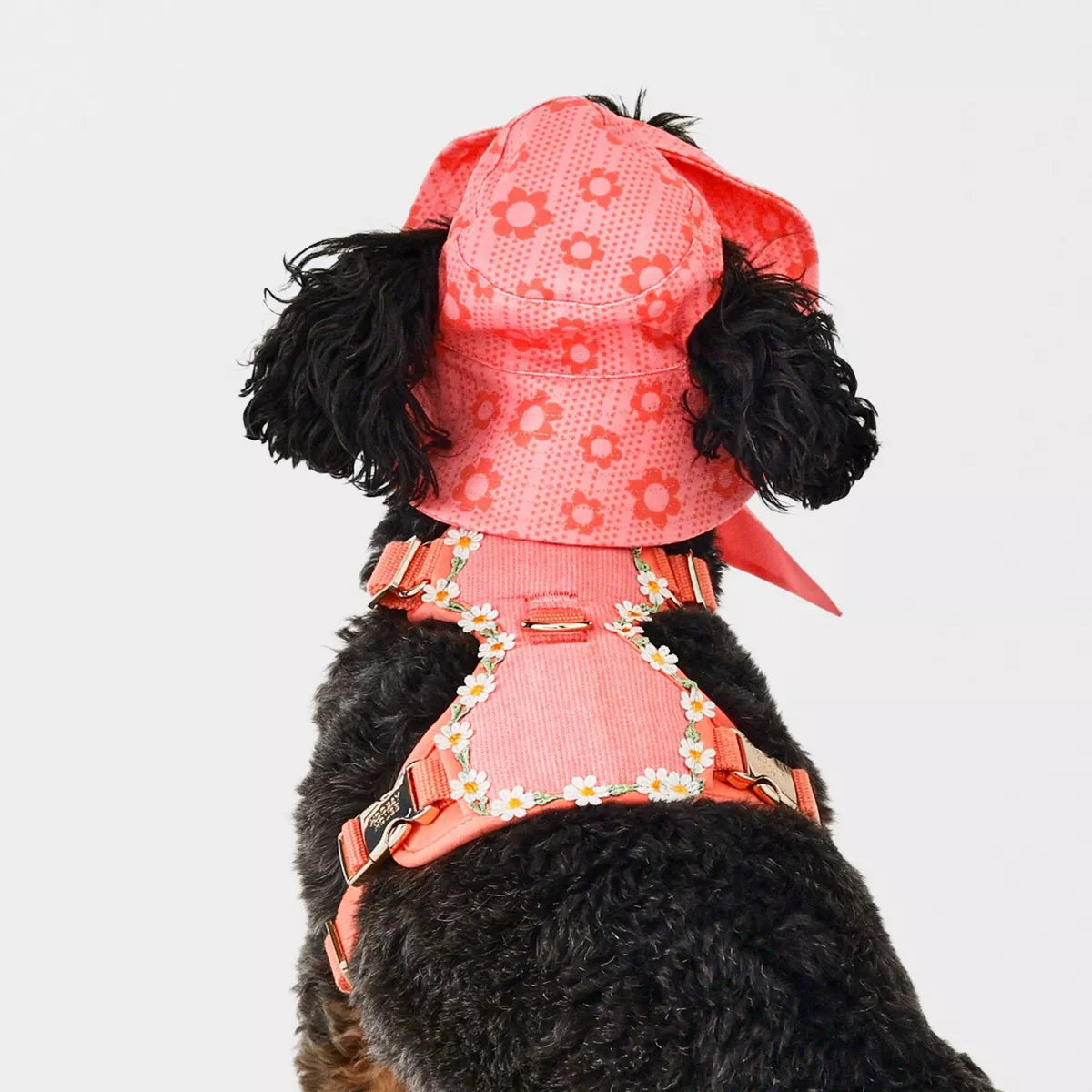 Daisy Dog Harness