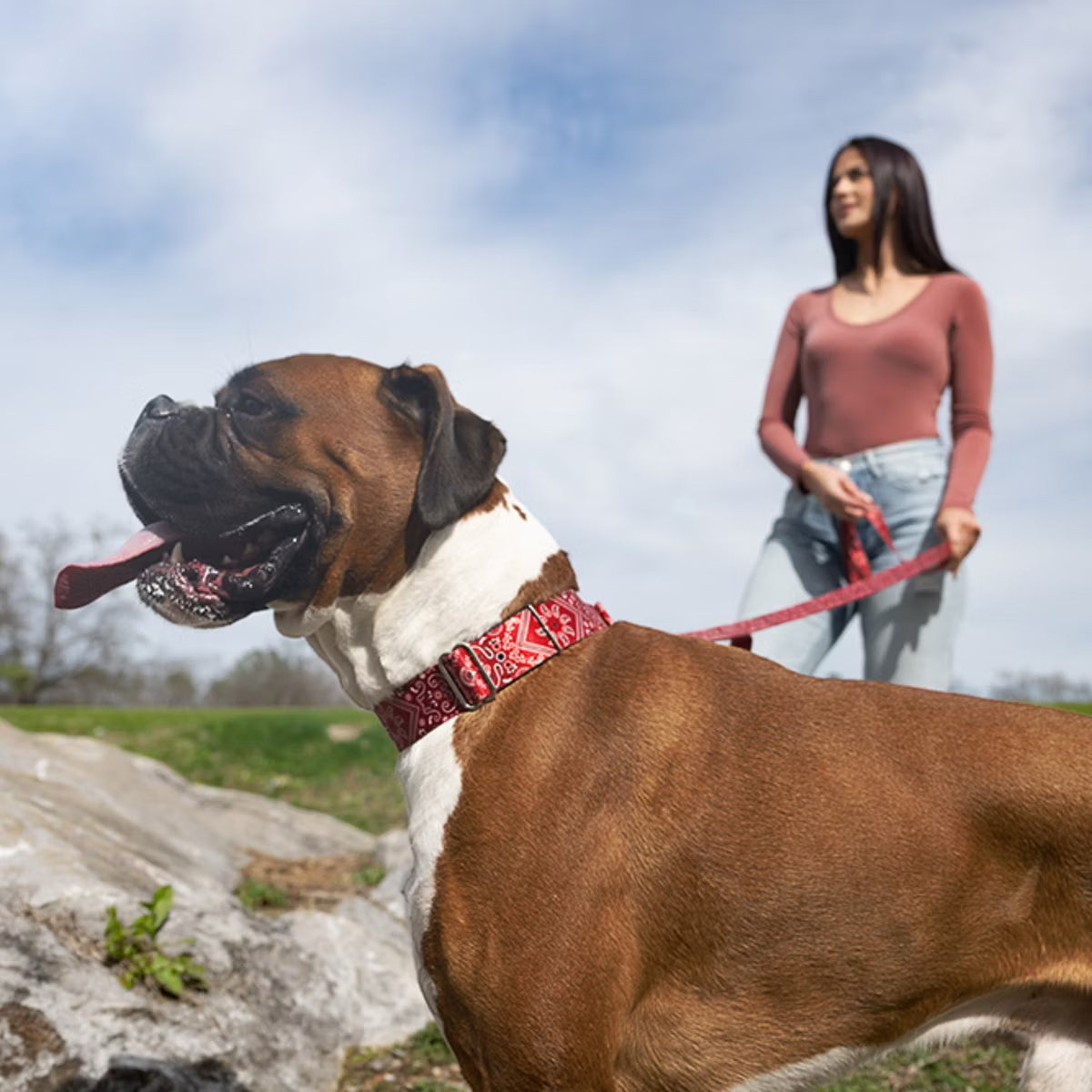 Wide Martingale Dog Collar (Red Bandana, Extra Large)