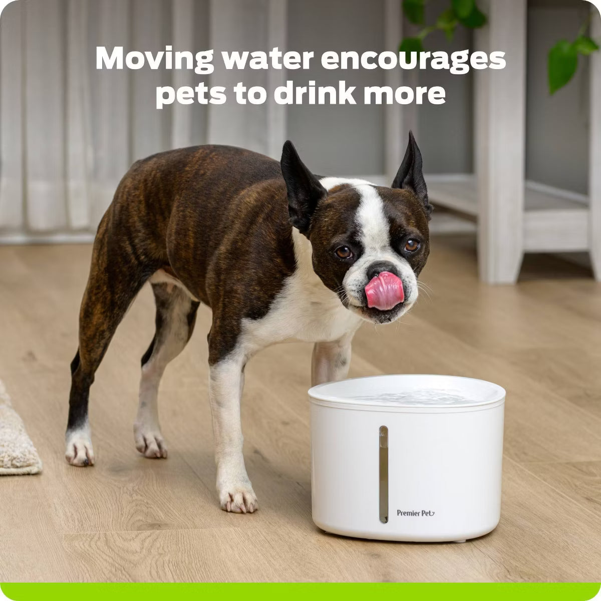 110oz Dog and Cat Automated Fountain - White
