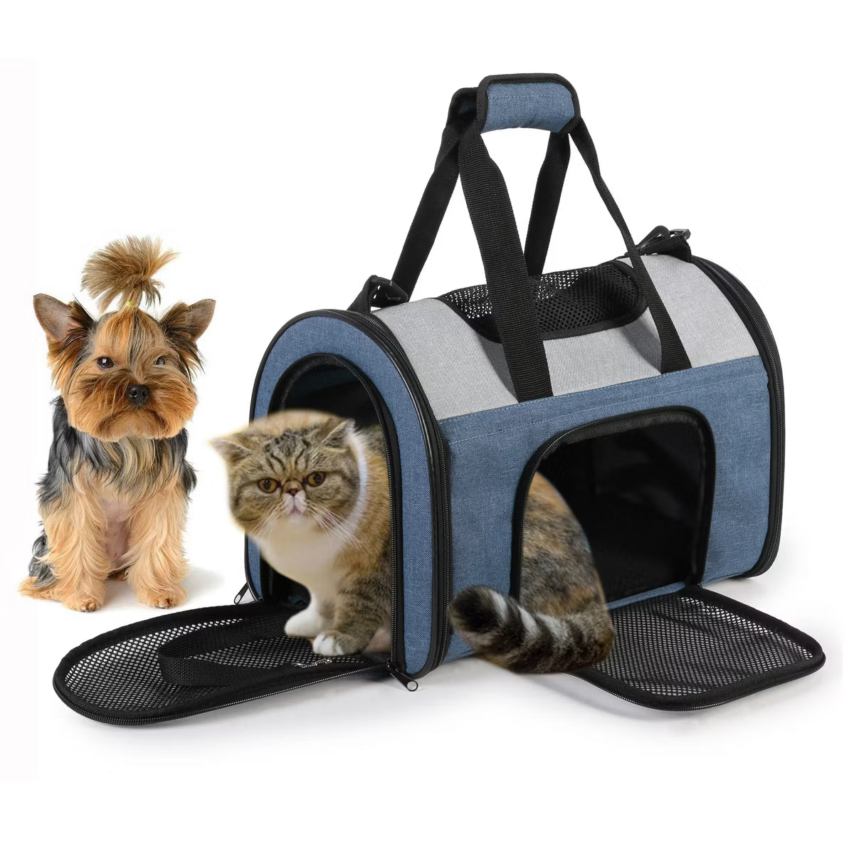 Kennel Pet Carrier for Small Dogs, Cats, Puppy