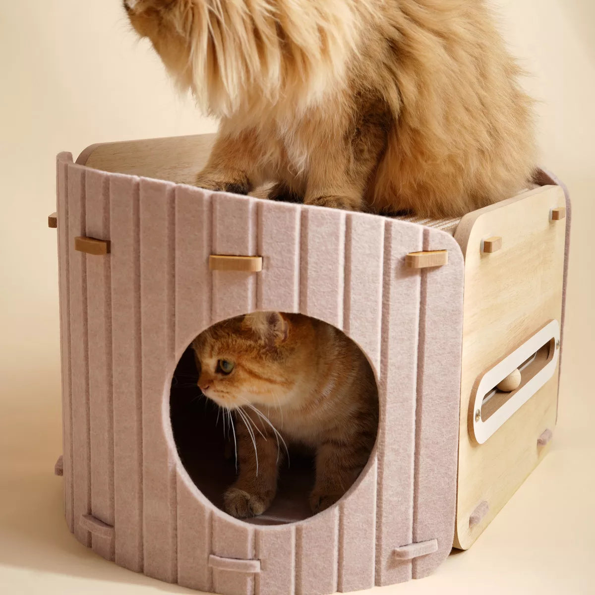2-in-1 Modern Wooden Cat Condo Bed Beige