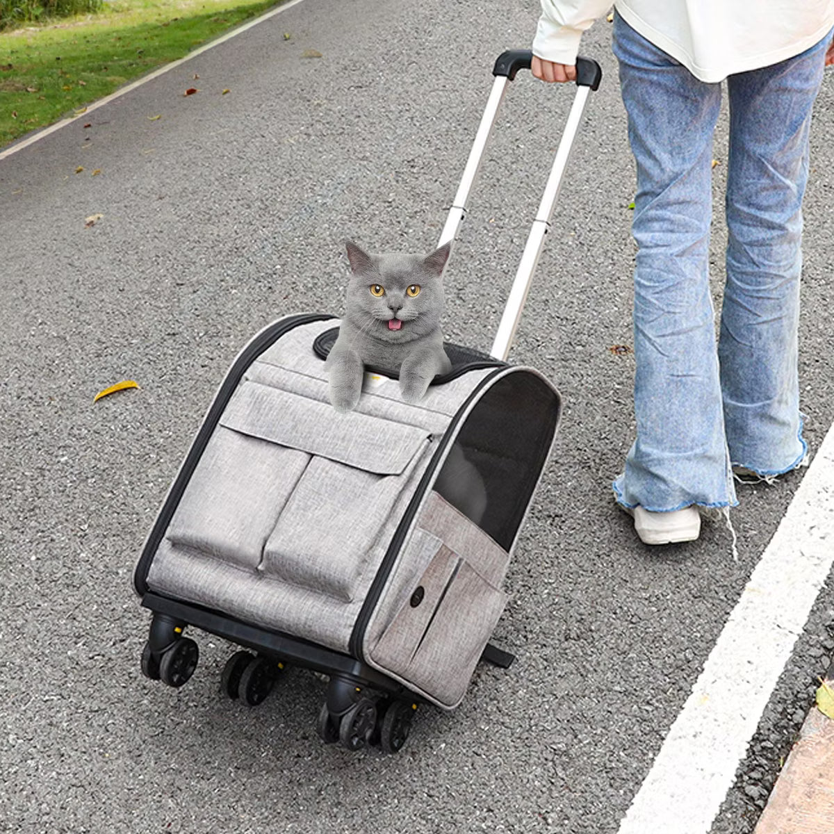 Backpack with Removable Wheels for Under 18LBS,