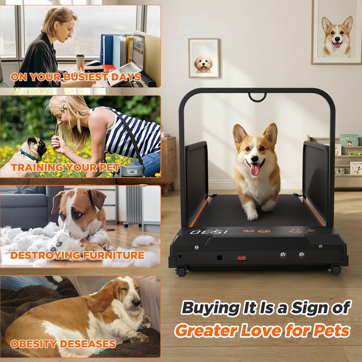 43.11" x 19.29" x 28.35" 265Lbs Portable Small Indoor Pet Treadmill Featuring 2.5hp Quiet Motor/LCD Display