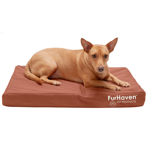 Indoor/Outdoor Deluxe Orthopedic Dog Bed Medium
