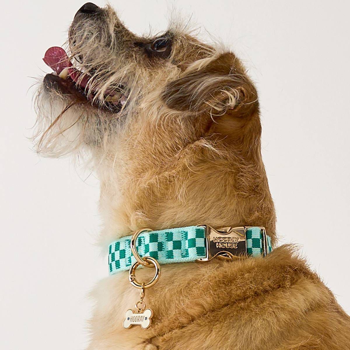 Collar Charm Martini