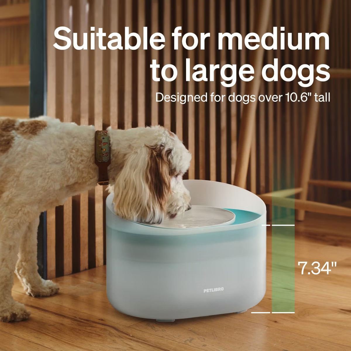 Capsule 2.1Gal/8L Water Fountain, 5-Layer Filtration,