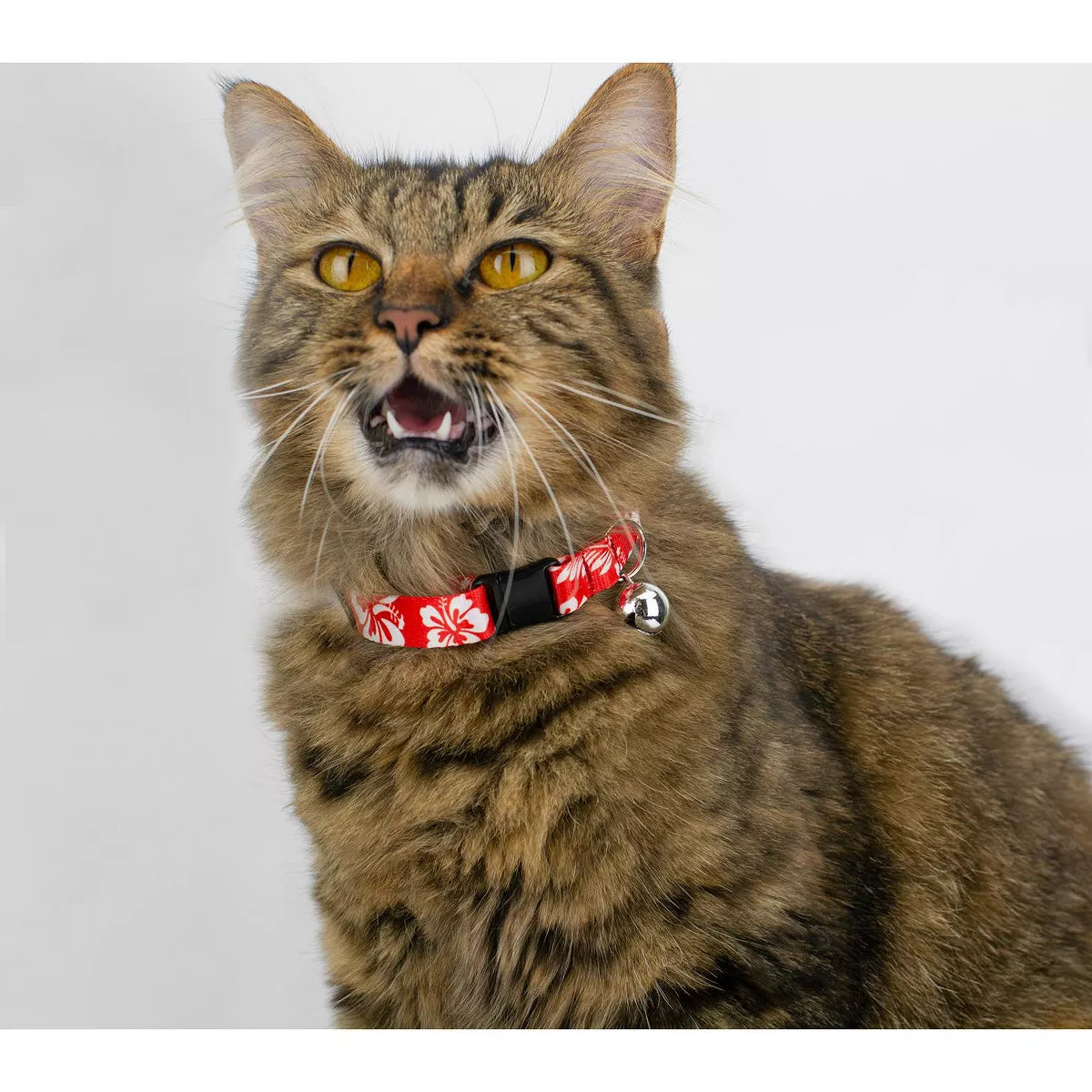 Red Hawaiian Cat Collar