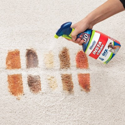 Woolite INSTAclean pet stain remover spray - image 3