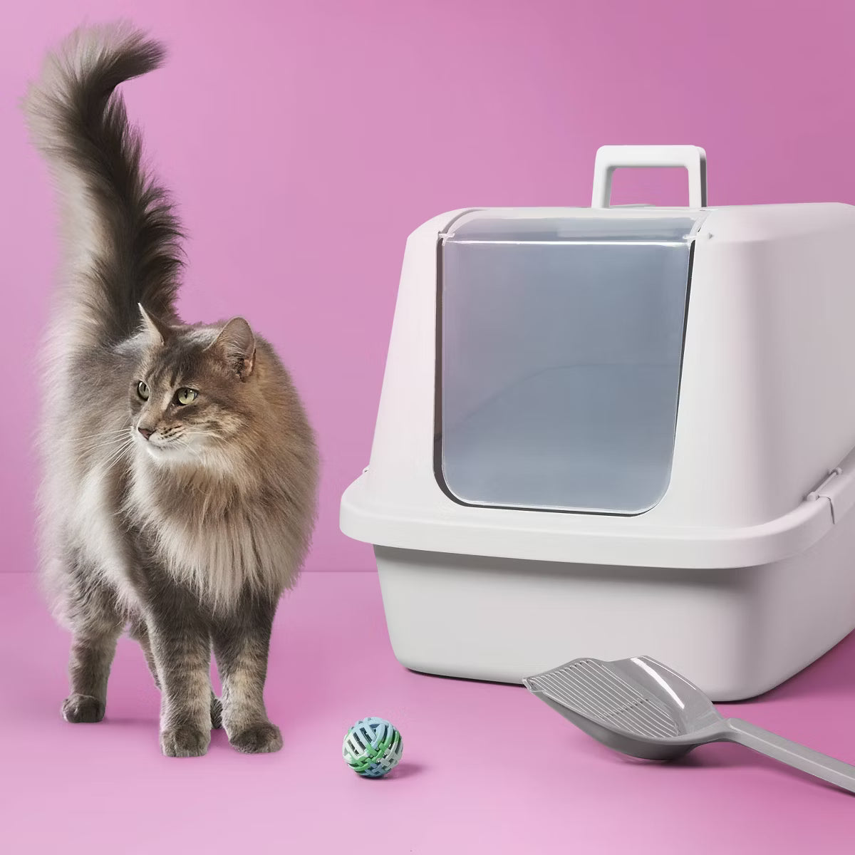 Enclosed Cat Litter Box - Gray - XL