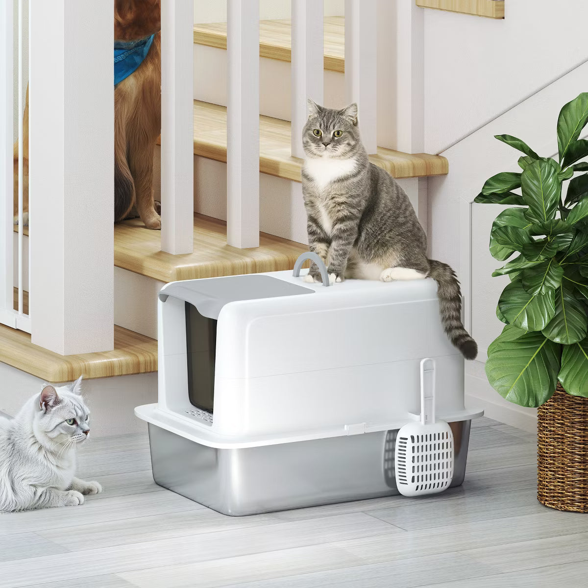 Stainless Steel Cat Litter Box, Extra Large 2 in 1 Kitty Litter Box with Removable Lid, Scoop,