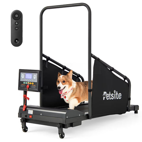 Dog Treadmill for Small/Medium Dogs Indoors Pet Running Training
