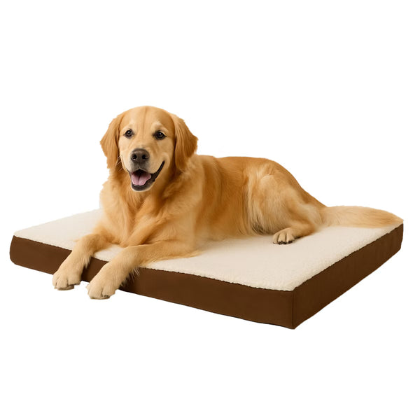 Pet Adobe 2-Layer 36x27 Orthopedic Dog Bed