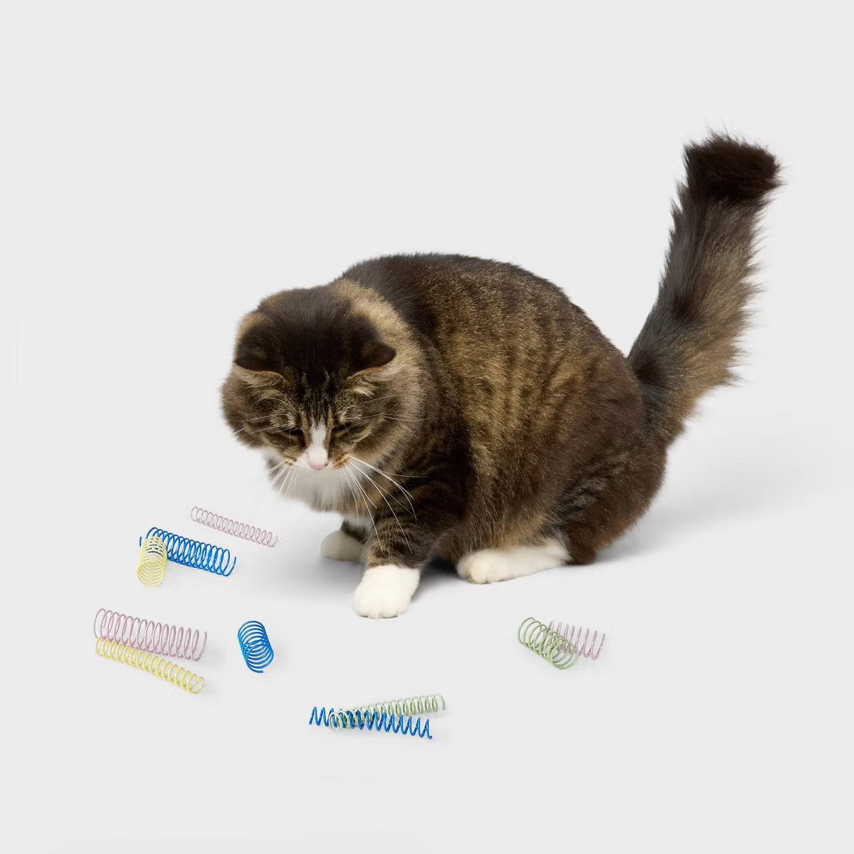 Spring Multipack Interactive Cat Toy 10ct