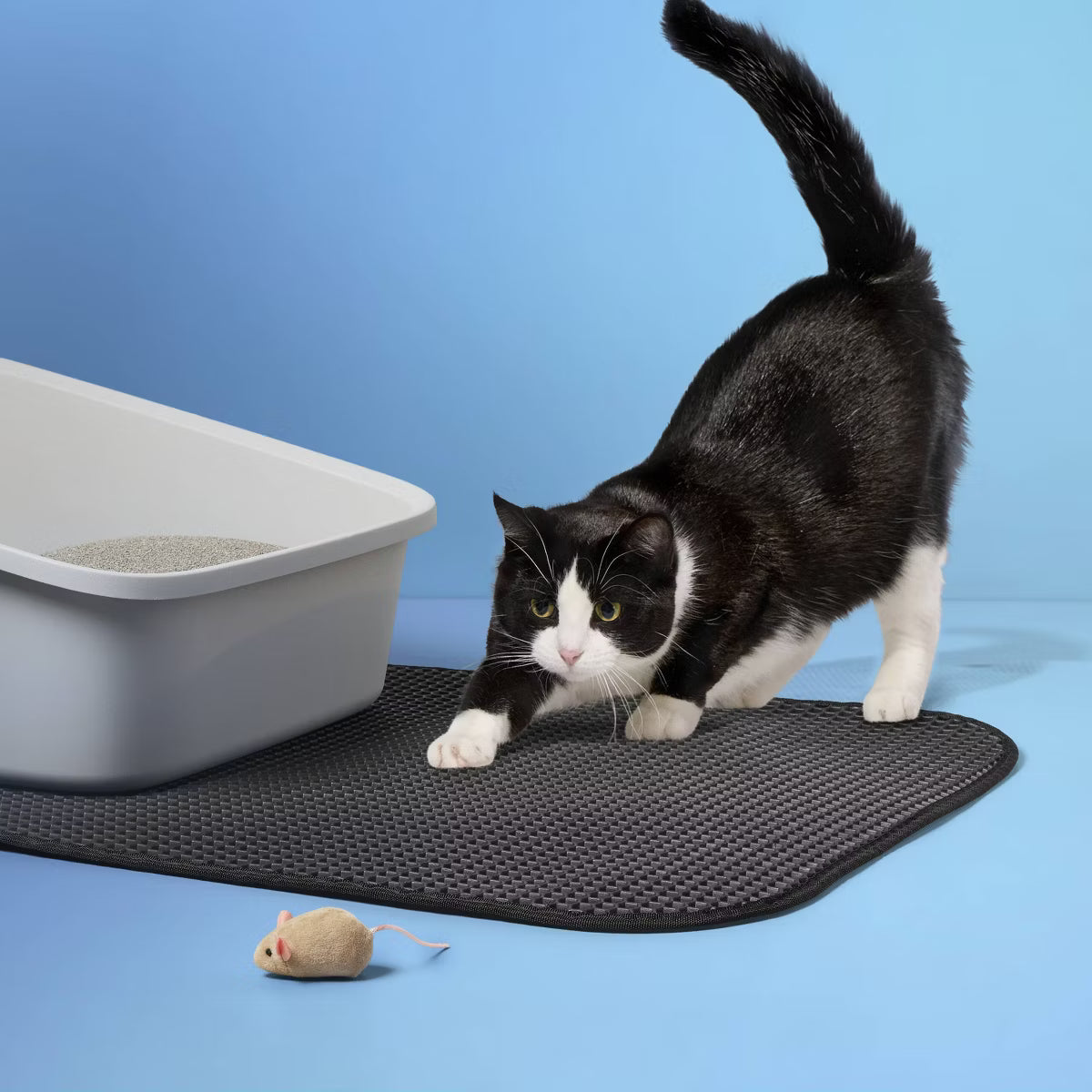 Litter Sifting Mat