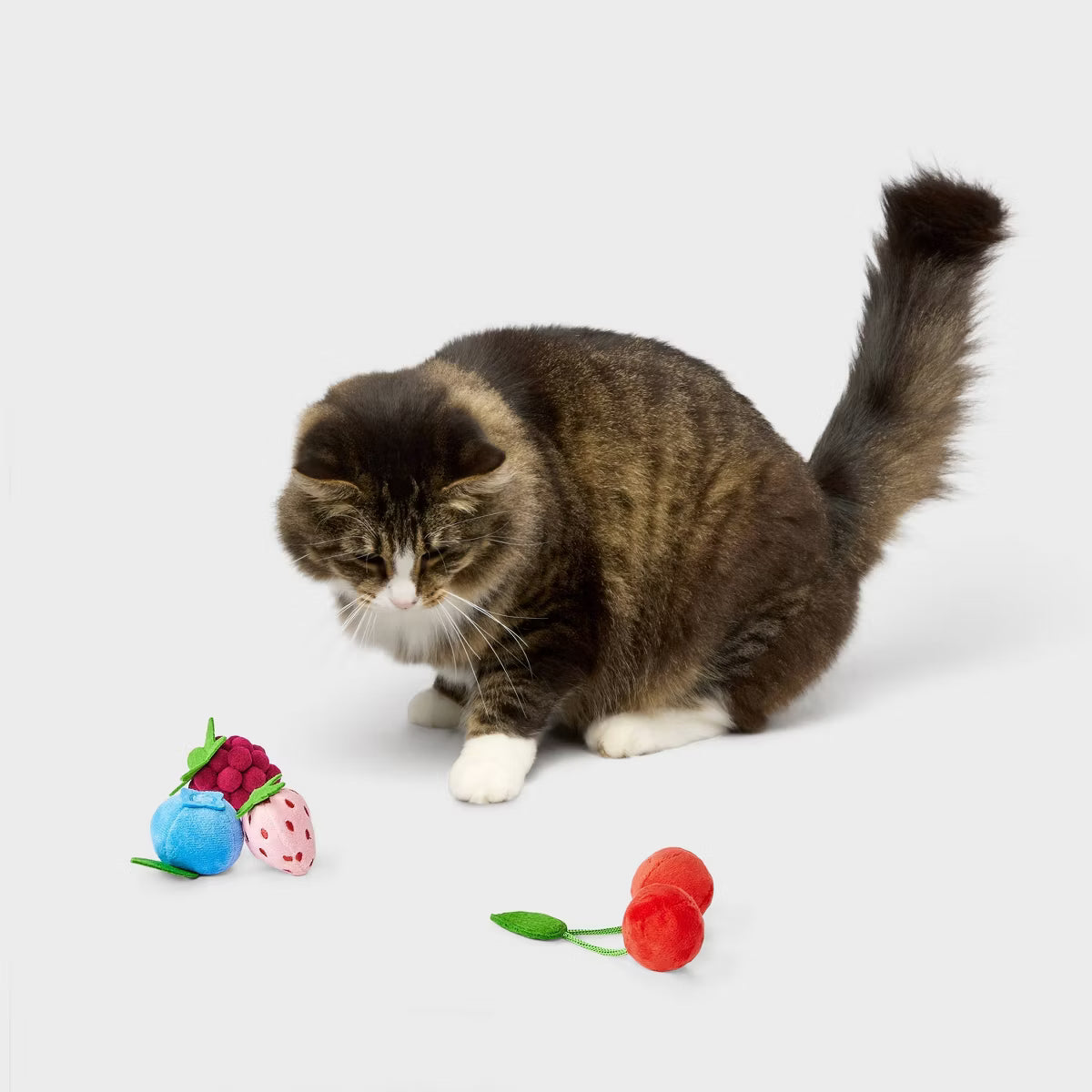 Fun Fruit Shaped Cat Toy