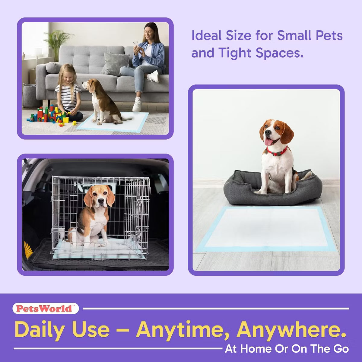 Economy Value (23x36 inch) Puppy Training & Potty Pads 300 Count