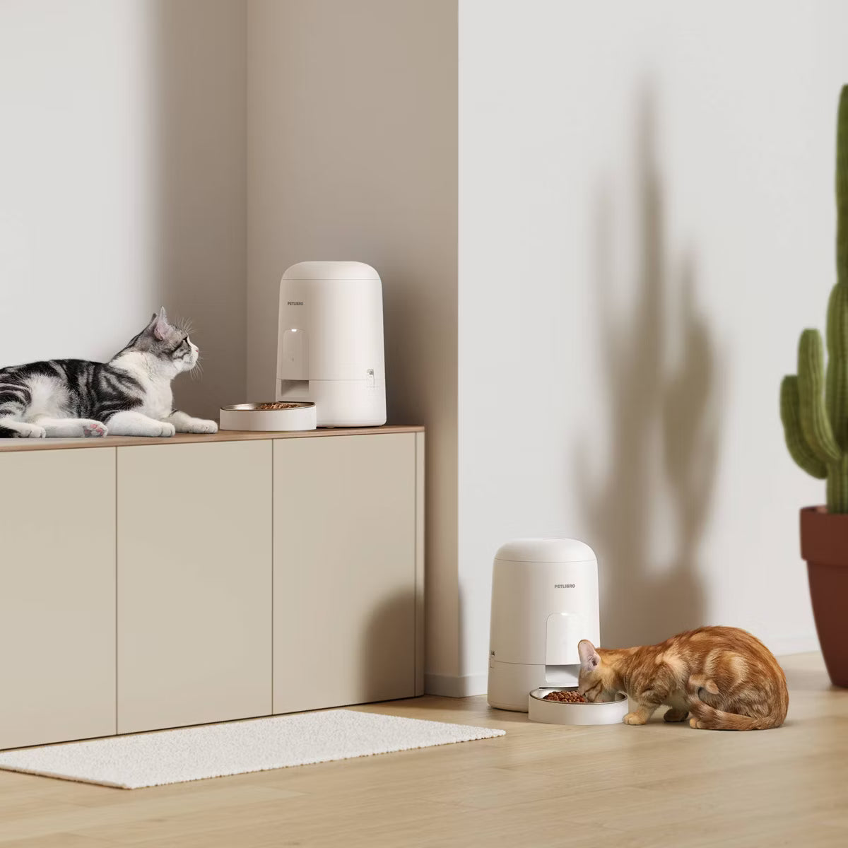 2L Wire Free Air Automatic WiFi Cat and Dog Automated Feeder