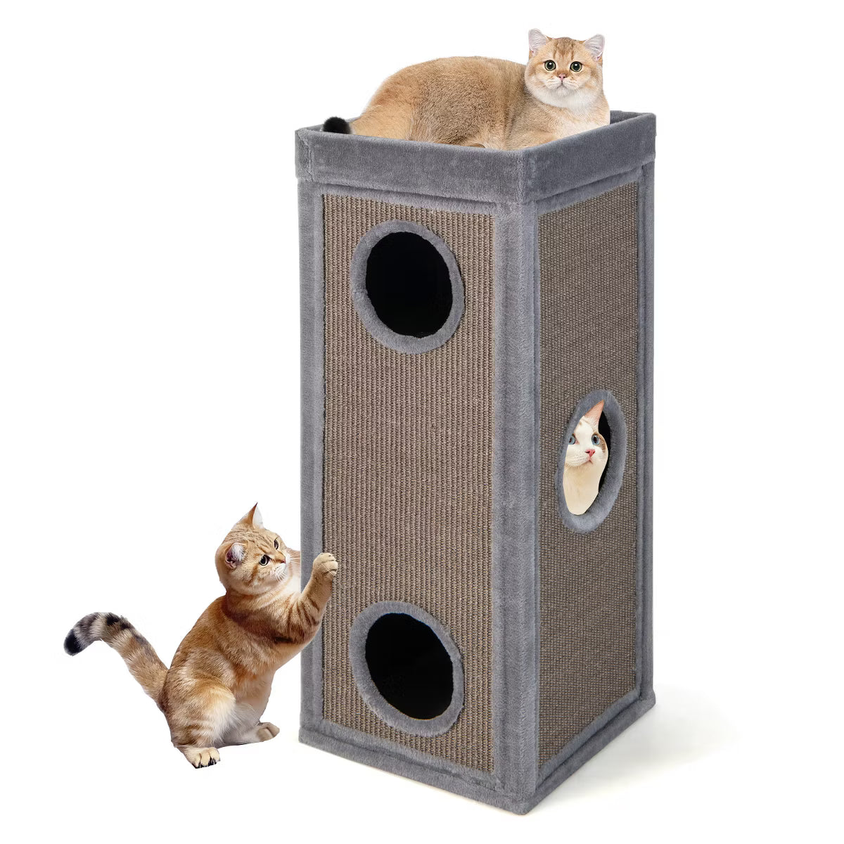 Cat Condo with Scratching Posts