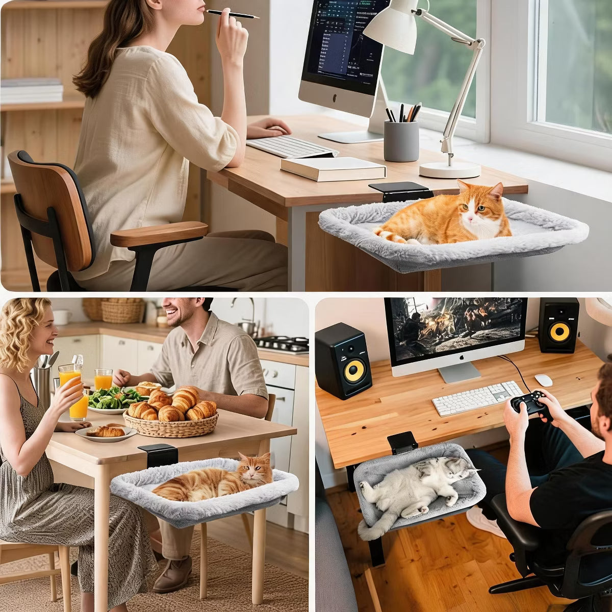Fold-Down Cat Desk Bed