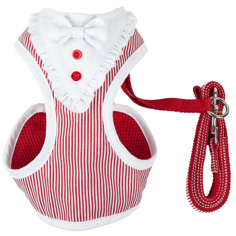 Luxe Spawling 2-In-1 Adjustable Fashion Dog Harness and Leash,