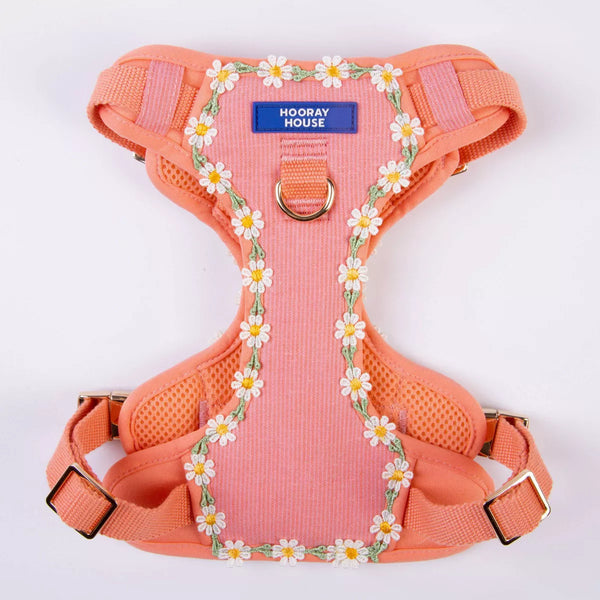 Daisy Dog Harness