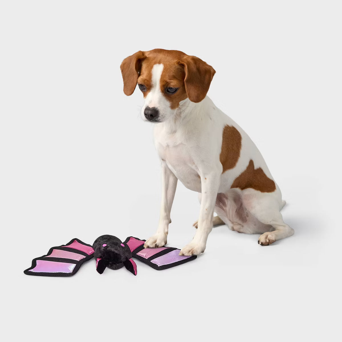 Bat Plush Dog Toy