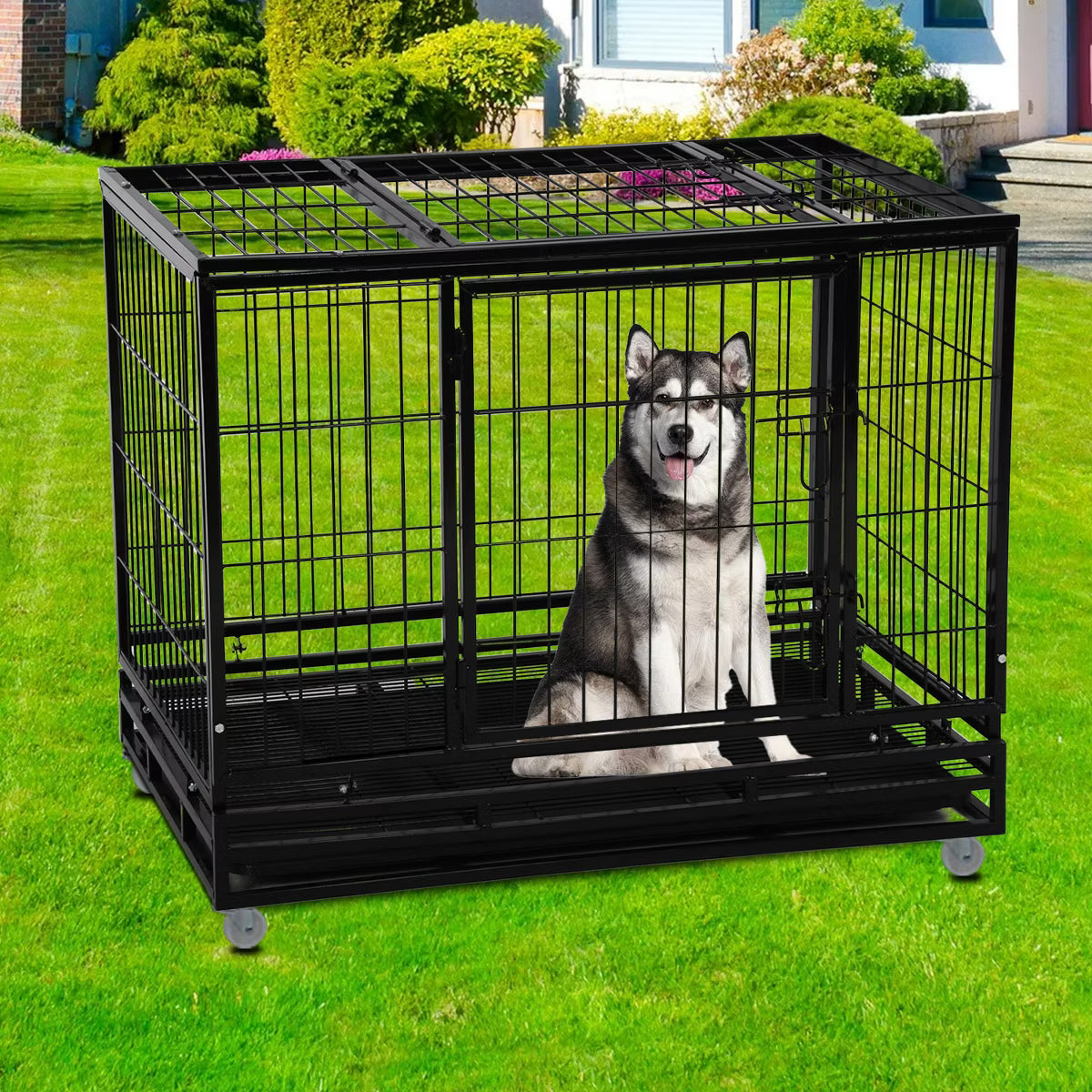 42 Inch Dog Crate Heavy Duty Dog Kennel Indoor Outdoor