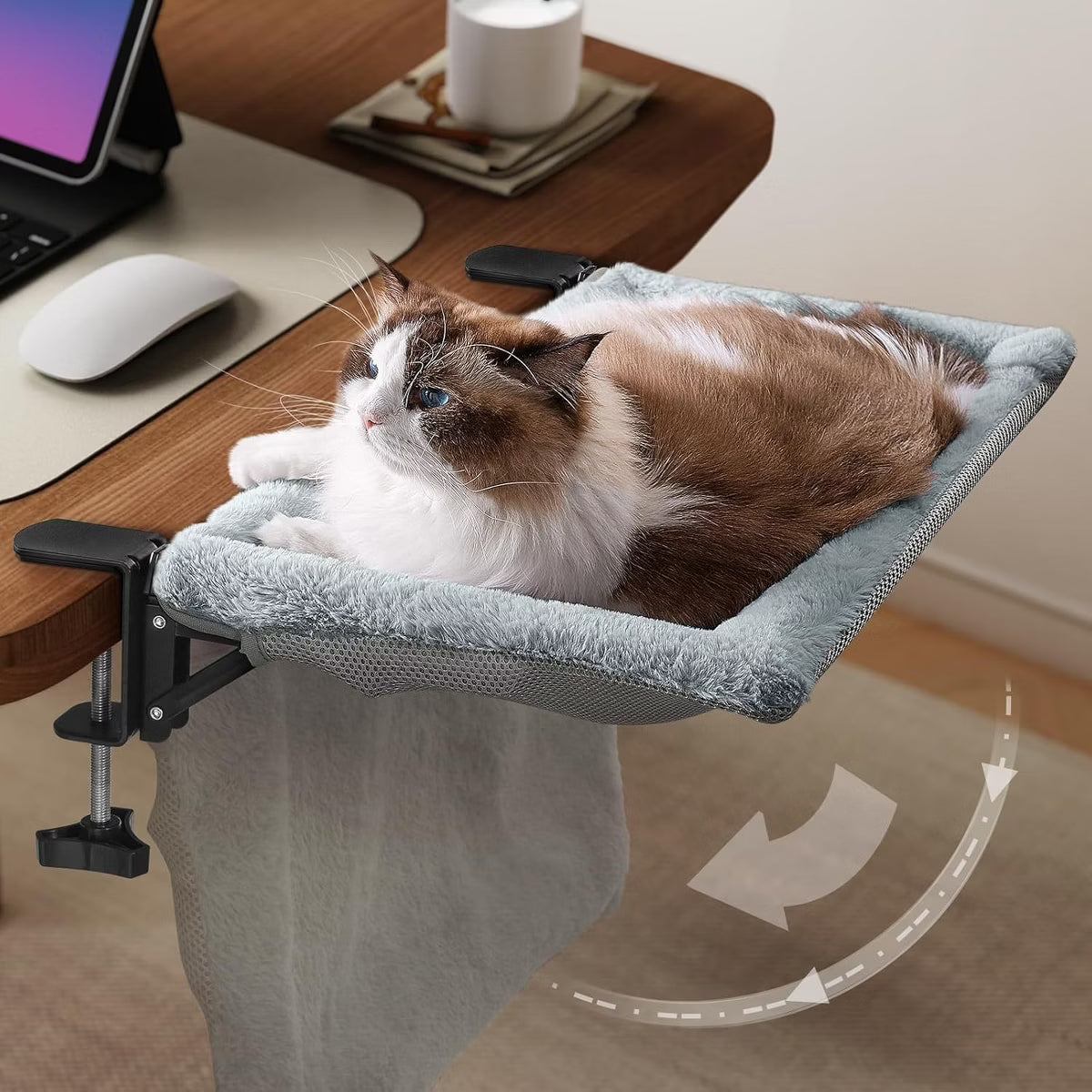 Fold-Down Cat Desk Bed