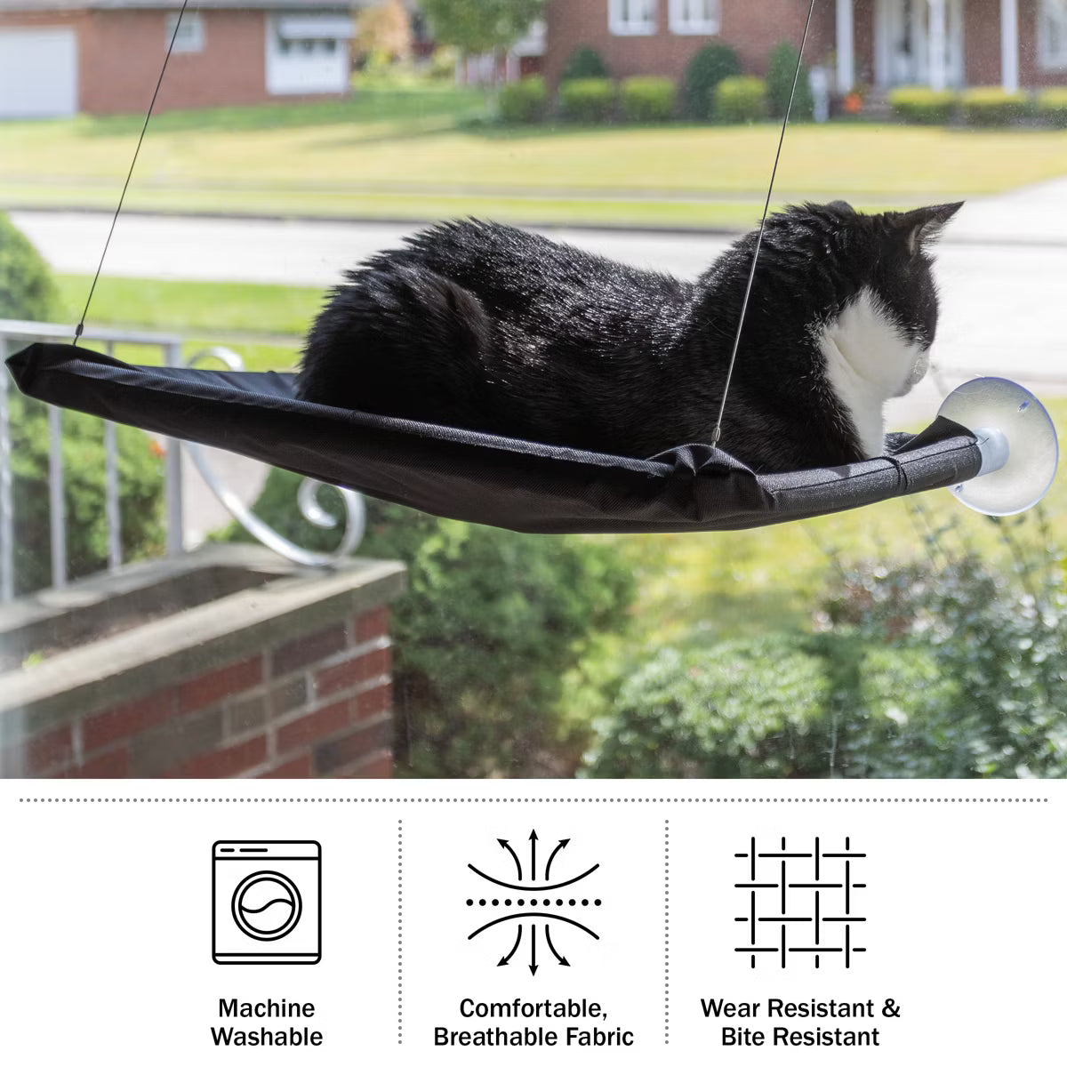 Cat Window Perch for Large Cats, Black