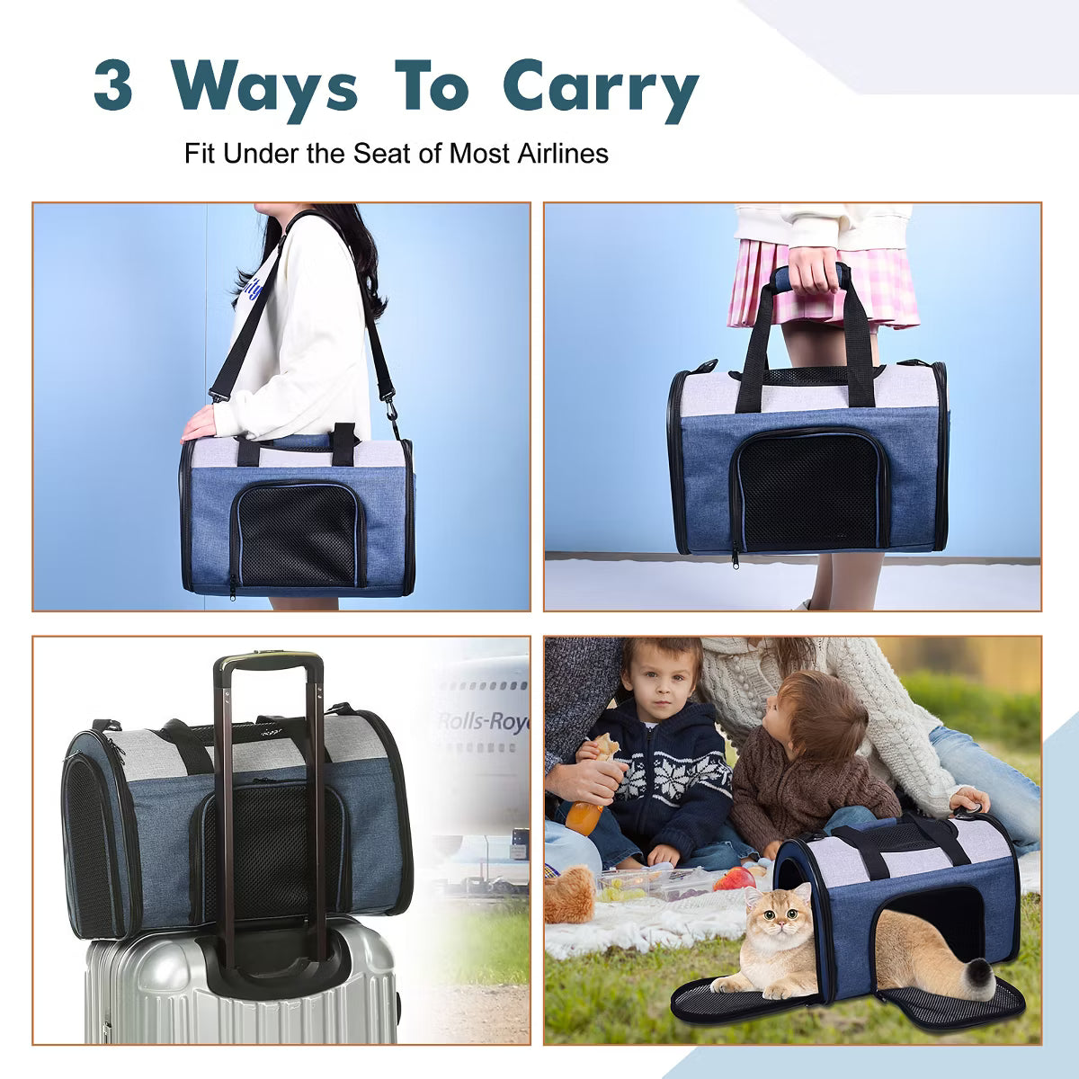 Kennel Pet Carrier for Small Dogs, Cats, Puppy
