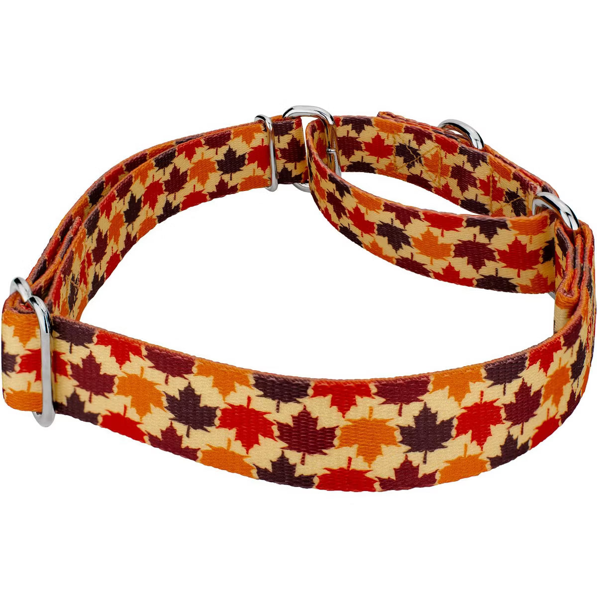 Nature Walk Martingale Dog Collar Limited Edition (1 Inch, Extra Large)