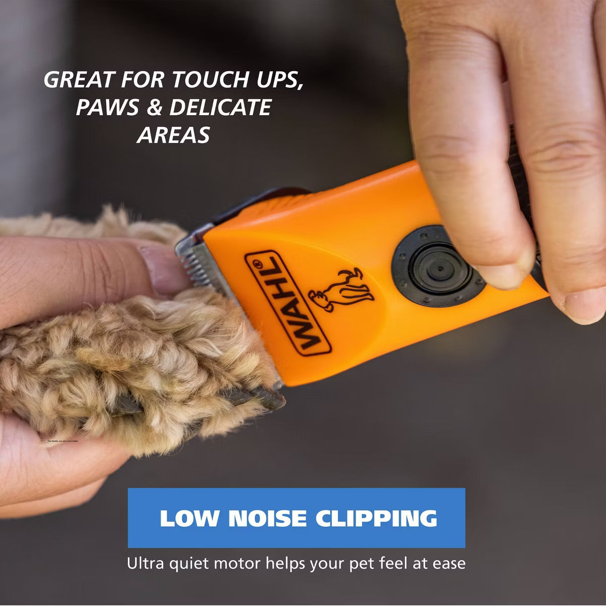 Touch-up Clipper/Trimmer Box for Dogs