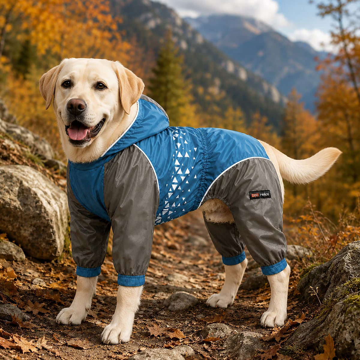 Vortex Full Bodied Waterproof Windbreaker Dog Jacket