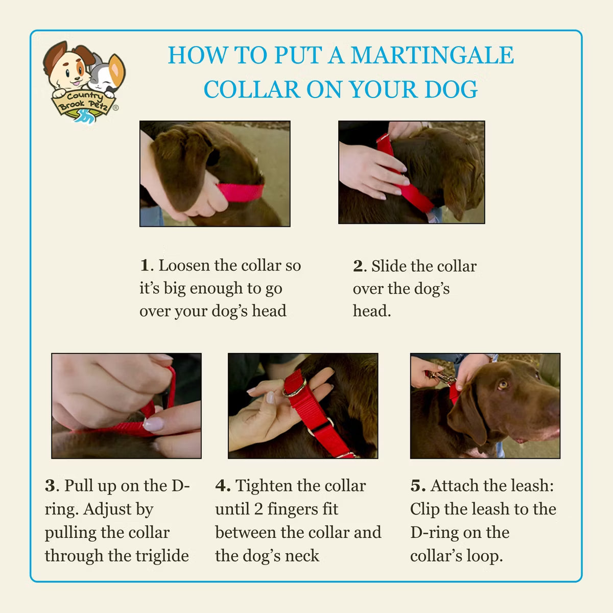 Wide Martingale Dog Collar (Red Bandana, Extra Large)